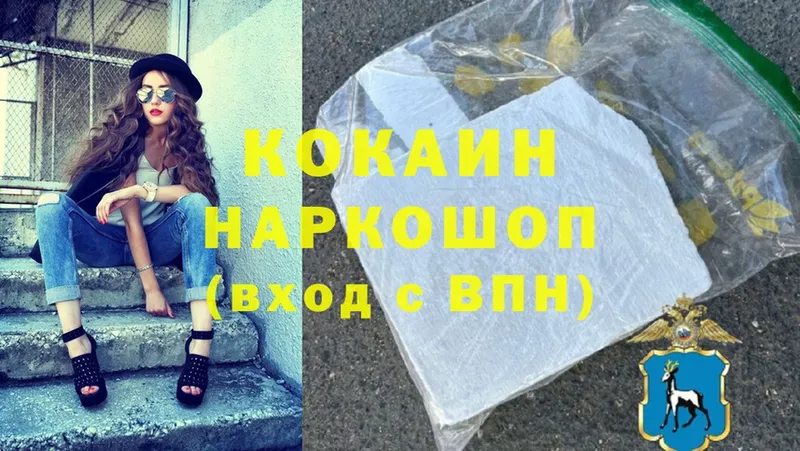 COCAIN Fish Scale  купить  цена  Вельск 